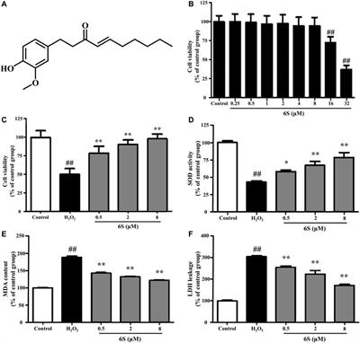 6-Shogaol Inhibits Oxidative Stress-Induced Rat Vascular Smooth Muscle Cell Apoptosis by Regulating OXR1-p53 Axis